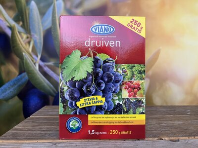 Weintrauben Ernährung - 1750g