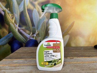Luxan - Pyrethrum Biol Spray