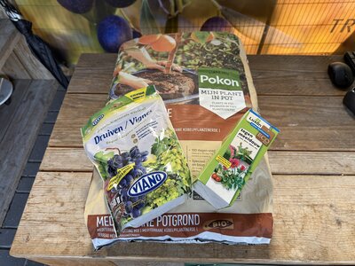 Pflanzenpaket weinreben