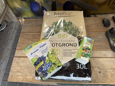 Pflanzenpaket weinreben