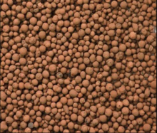 Kategorie <b>Exotische / Mediterrane Pflanzen </b> - Hydro Pellets - 10L