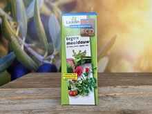 Kategorie <b>Exotische / Mediterrane Pflanzen </b> - Mehltau - Bekämpfungsmittel