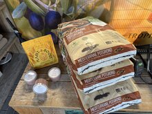 Kategorie <b>Exotische / Mediterrane Pflanzen </b> - Pflanzenpaket L